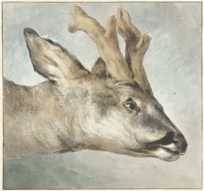 Hoved af en råbuk af Wybrand Hendriks