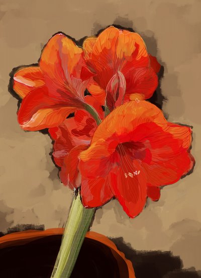 Livlig amaryllisblomst af XHOZUCAN