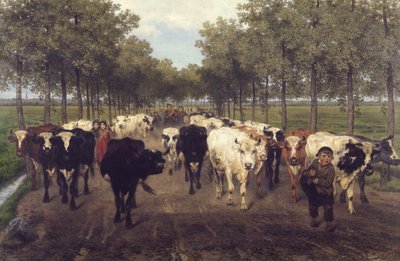 Meersstraat i Gent af Xavier de Cock