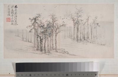 Landskaber af Xi Dai