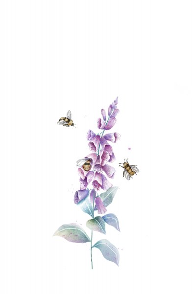 Akvarel: Bier og blomster af Xuan Thai