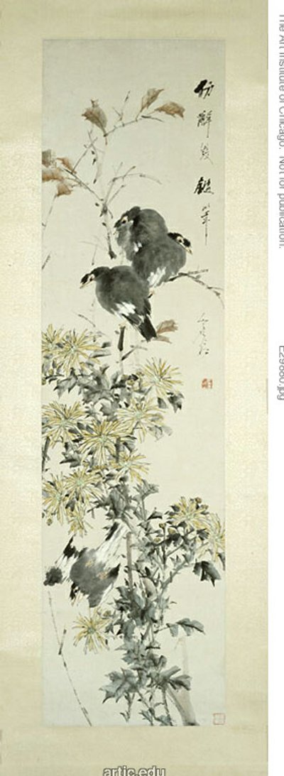 Crested Myna Fugle og krysantemum af Xugu