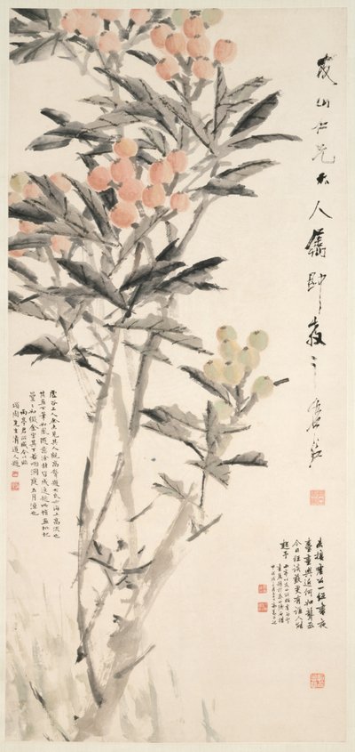 Pipa Loquats, ca. 1888-89. af Xugu