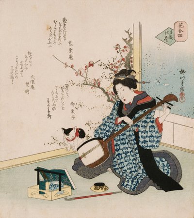 Te-ike no hana "Håndplukket blomst", et udtryk, der bruges til at henvise til en geisha eller kurtisane, der er blevet hustru eller elskerinde for den protektor, der købte sin kontrakt med en bordello, illustrerer en kvinde, der stemmer en samisen, med dig af Yanagawa II Shigenobu