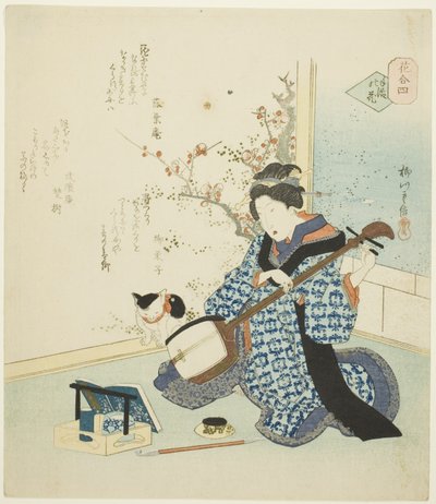 Nr. 4: Personligt arrangeret blomst (Teike no hana), fra serien "A Comparison of Flowers (Hana awase)" af Yanagawa Shigenobu II