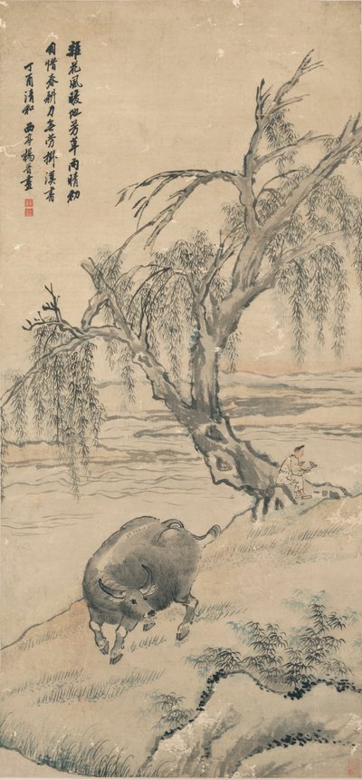 Buffalo på Willow Bank af Yang Jin