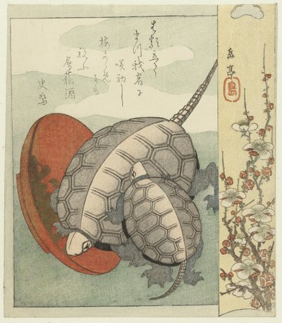 Skildpadder med sake skål af Yashima Gakutei