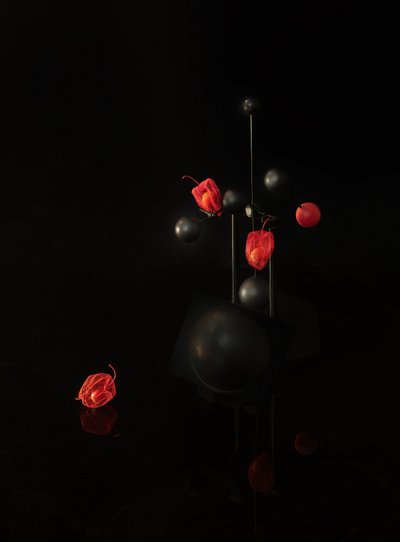  af Yi Pan