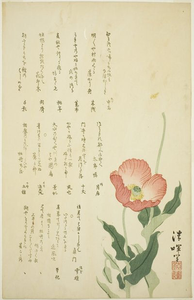 To valmuer af Yokoyama Seiki