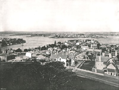 Udsigt fra North Shore, Sydney, Australien, 1895. af York and Son
