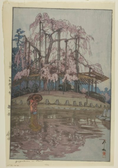 Nat kirsebær blomst linje af Yoshida Hiroshi