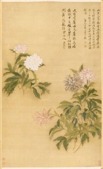 Pæoner af Shouping Yun