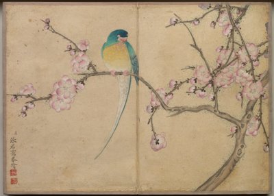 Skrivebordsalbum: Blomster- og fuglemalerier (Fugl med blommeblomster) af Zhang Ruoai