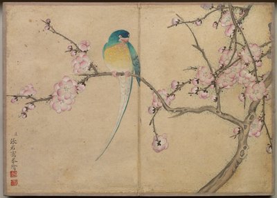 Skrivebordsalbum: Flower and Bird Paintings Bird with Plum Blossoms, 1700-tallet. af Zhang Ruoai