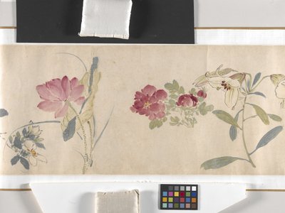 Farvede blomster af Zhimian Zhou