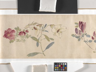 Farvede blomster af Zhimian Zhou