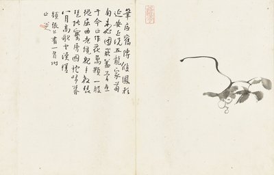 Landskaber og blomster, album med seks blade af Zhu da Bada Shanren