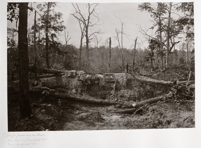 Battlefield of New Hope Church, Georgia, USA af Ferdinand Georg Waldmuller