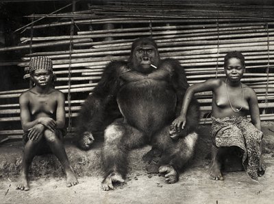 Gorilla (gelatine sølv print) af Hippolyte Lalaise Devéria