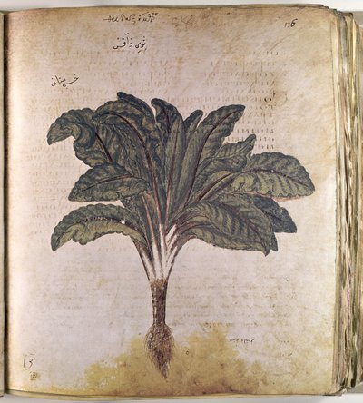 Urtesalat af Ferdinand Georg Waldmuller