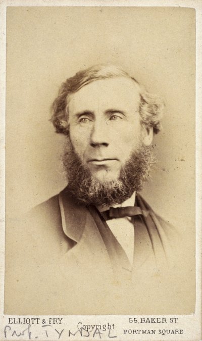 John Tyndall, irsk fysiker, c 1875 af Frederick (attr. to) Barnard