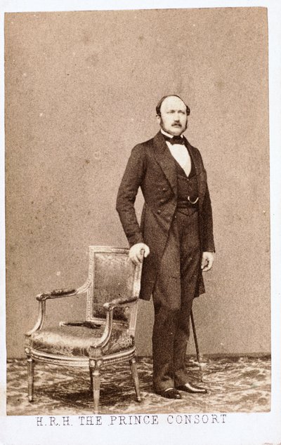 Prins Albert, konsort af dronning Victoria, c 1860 af Frederick (attr. to) Barnard