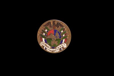 Sydafrikansk mønt, håndfarvet Shilling af Anglo-Boer War POW