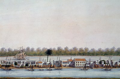 Udsigt over St Louis, Senegal af William Walcutt