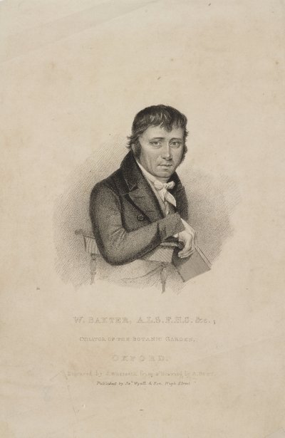 William Baxter, ALS FHS, britisk botaniker, ca. 1820