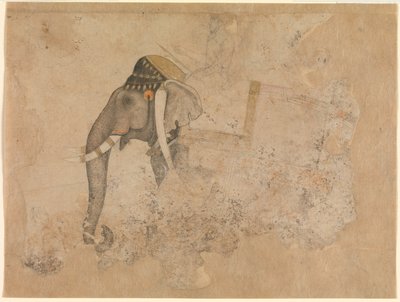 Hashim. Elefant og rytter. ca. 1640 Metropolitan Museum of Art, New-York af Hashim