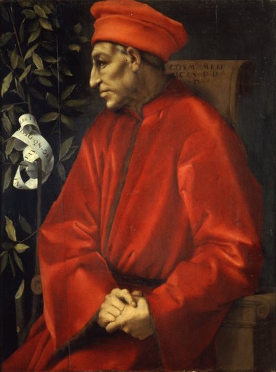 Portræt af Cosimo den ældre af Pontormo