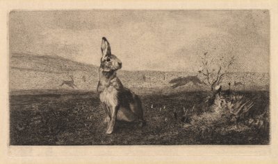 Haren af after Albert de Balleroy