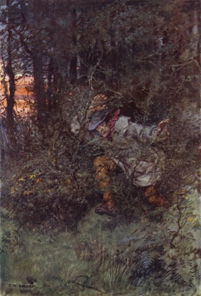 Illustration til Martin Chuzzlewit af after Charles Edmund Brock