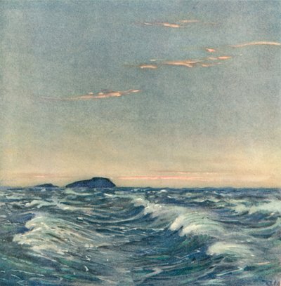 Hvide Heste af after Donald Maxwell