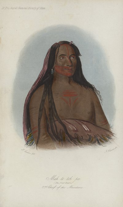 Mah-to-toh-pa, The Four Bears, 2nd Chief Of The Mandans (akvatint) af after George Catlin