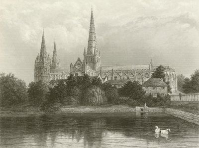 Lichfield Cathedral af Henry after Warren