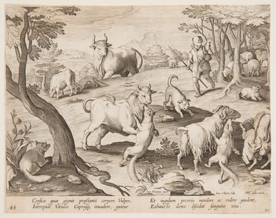 Tyre og geder angrebet af ræve af after Jan van der Straet, called Stradanus