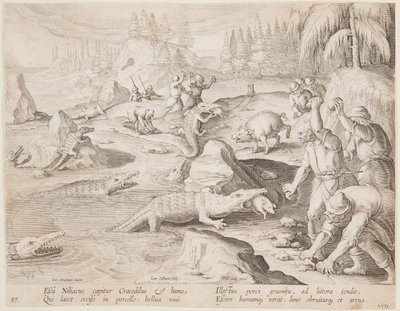 Krokodillejagt af after Jan van der Straet, called Stradanus
