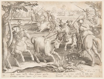Fangst vilde tyre af after Jan van der Straet, called Stradanus
