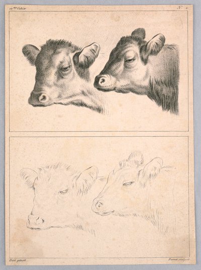 To kohoveder, plade nr. 2 fra 12me Cahier d