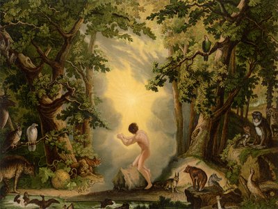Adams skabelse af Johann Elias Ridinger or Riedinger