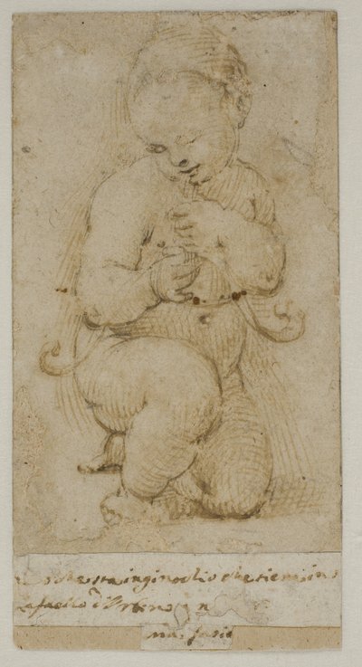 Spædbarnet Johannes Døberen af after Raphael
