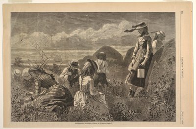 Indsamling af bær af Winslow Homer