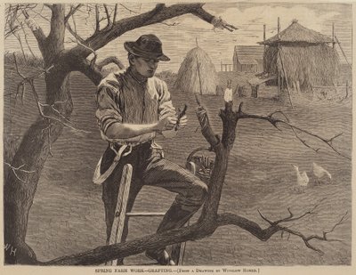 Spring Farm Arbejde - Podning af Winslow Homer