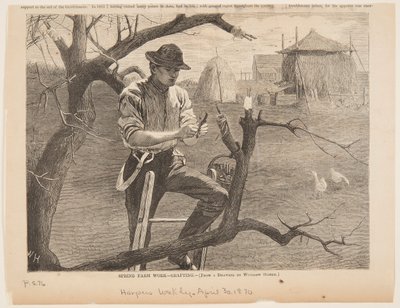 Spring Farm Work – Podning af Winslow Homer