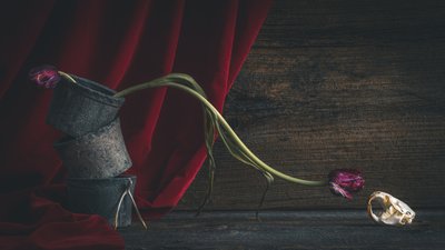 Mørk blomster-dødningehoved af alan shapiro