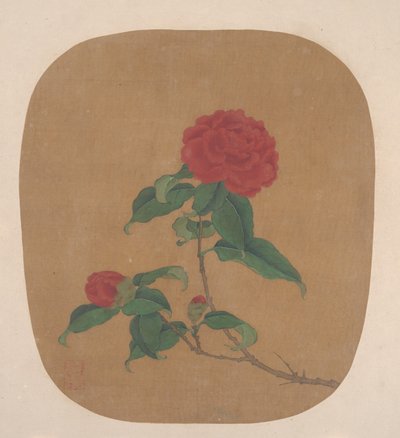 Kamelia-blomster af anonymous 