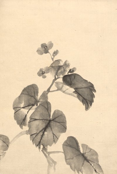 Gren af Begonia i blomst af attributed to Kono Bairei