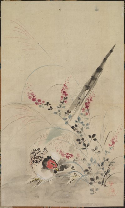 Fasan og græs af attributed to Ogata Kōrin