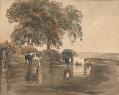Køer i en pool af attributed to Peter DeWint